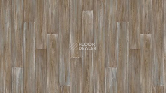 Линолеум Tarkett Idylle Nova KEVIN 3 фото 1 | FLOORDEALER